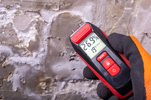 Best Mold Damage Repair  in Badin, NC